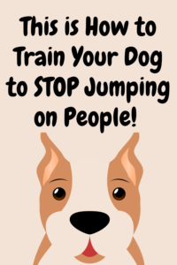 train your dog to stop jumping up