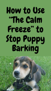 stop puppy barking