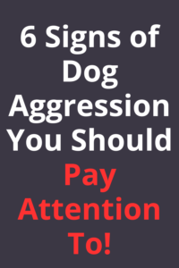 6 signs of dog aggression