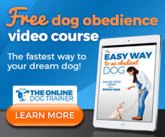 free dog training