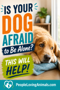 dog separation anxiety treatment