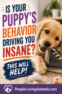 how to train a puppy