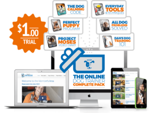 online dog training