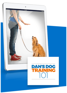 doggy dan's dog training 101