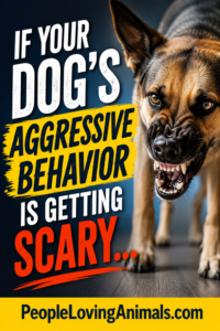 stop dog aggression fast