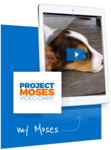 project moses puppy training