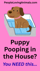 puppy pooping in the house