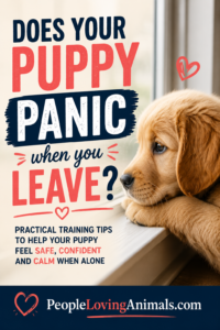 puppy separation anxiety training