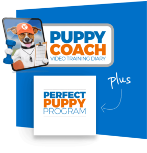 online puppy training programs