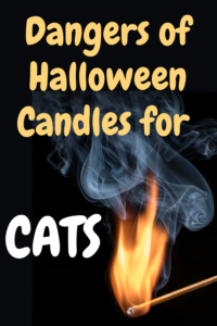 Dangers of Halloween Candles for Cats