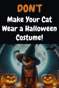 Don't Make Your Cat Wear a Halloween Costume!