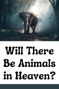 will there be animals in heaven?