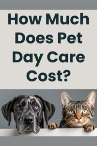 how much does pet day care cost?