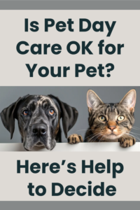 is pet day care ok for your pet?