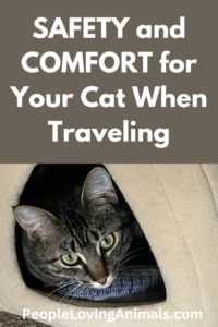 tips for traveling with a cat