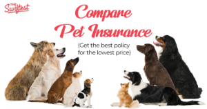 compare pet insurance plans