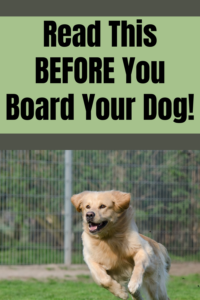 dog boarding tips