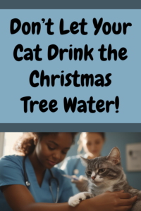 don't let your cat drink the christmas tree water