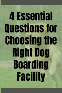 choosing the right dog boarding facility