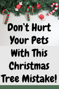 christmas tree safety for pets