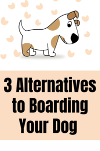 3 alternatives to boarding your dog