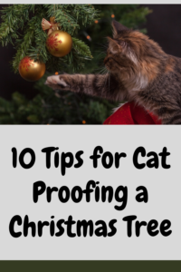 10 tips for cat proofing your christmas tree