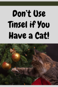 tinsel is not safe for cats