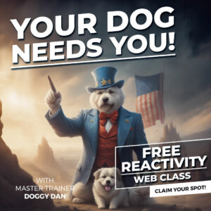 what is dog reactivity?