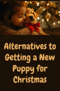 alternatives to getting a new puppy for christmas