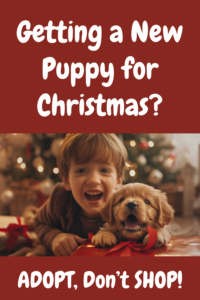 getting a new puppy for christmas