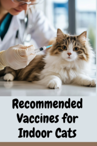 vaccine recommendations for indoor cats