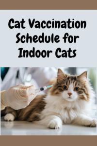 cat vaccination schedule for indoor cats