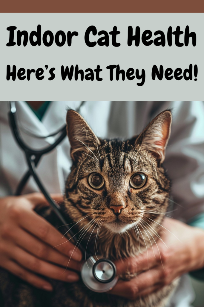 do-indoor-cats-need-shots-yes-here-s-why