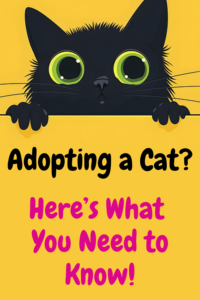 adopting a cat? here's what you'll need