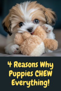 how to stop puppy chewing