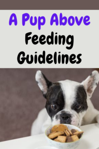 a pup above dog food feeding guidelines