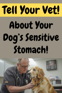 tell your vet about your dog's sensitive stomach