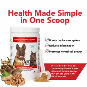 supplements for dogs with sensitive stomachs