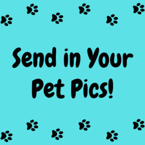 submit pet pictures