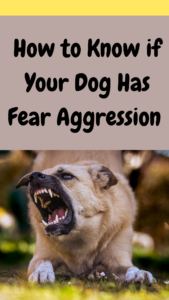 signs of fear aggression in dogs