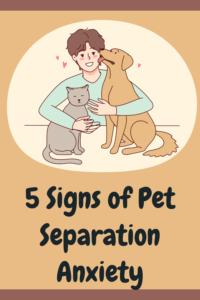 5 signs of pet separation anxiety