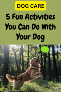 5 fun activities to do with your dog