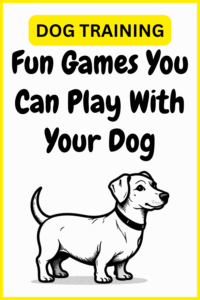 Games to Play with Dogs