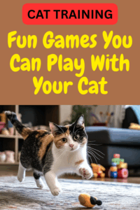 fun games to play with your cat