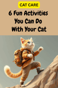 6 Fun Things You Can Do with Your Cat