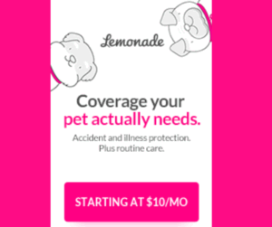 lemonade pet insurance review
