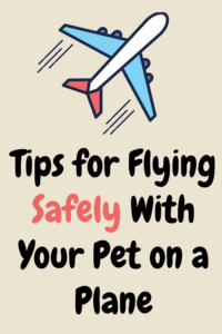 Preparing Your Pet to Travel by Plan