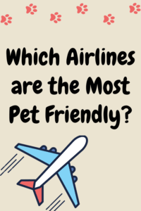 Which Airline is the Most Pet Friendly?