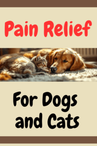 Pain Relief for Dogs and Cats