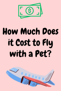 How Much Does It Cost to Fly With a Pet on a Plane?